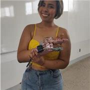 ?? Domina tus Materias con Apoyo de una Ingeniera ?????